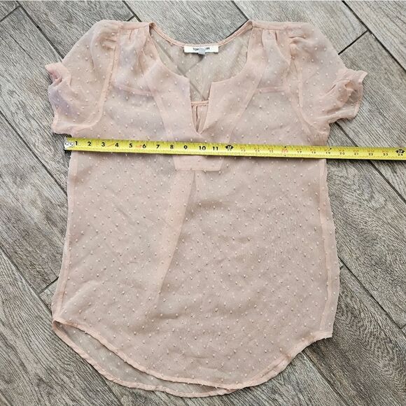 Daniel Rainn Light Pink Sheer Clip Dot Short Sleeve Blouse Size S - Picture 3 of 7